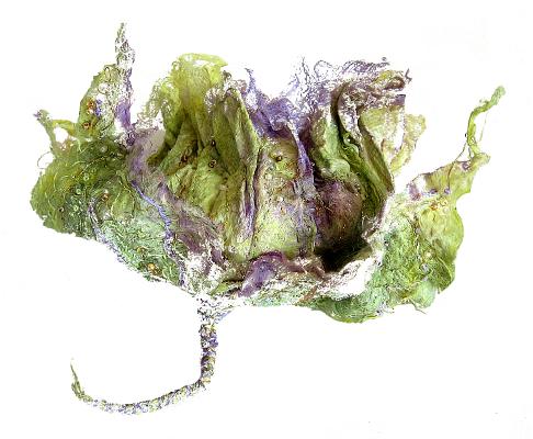 Rita - Gossamer head